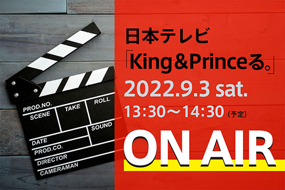 {eruKingPrinceBv\
