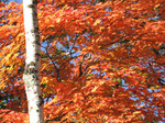 091014-01.JPG