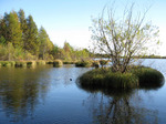 091014-09.JPG